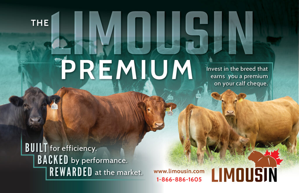 CLA_BullBuyers-Ad_Jan-2026-halfpage (1)