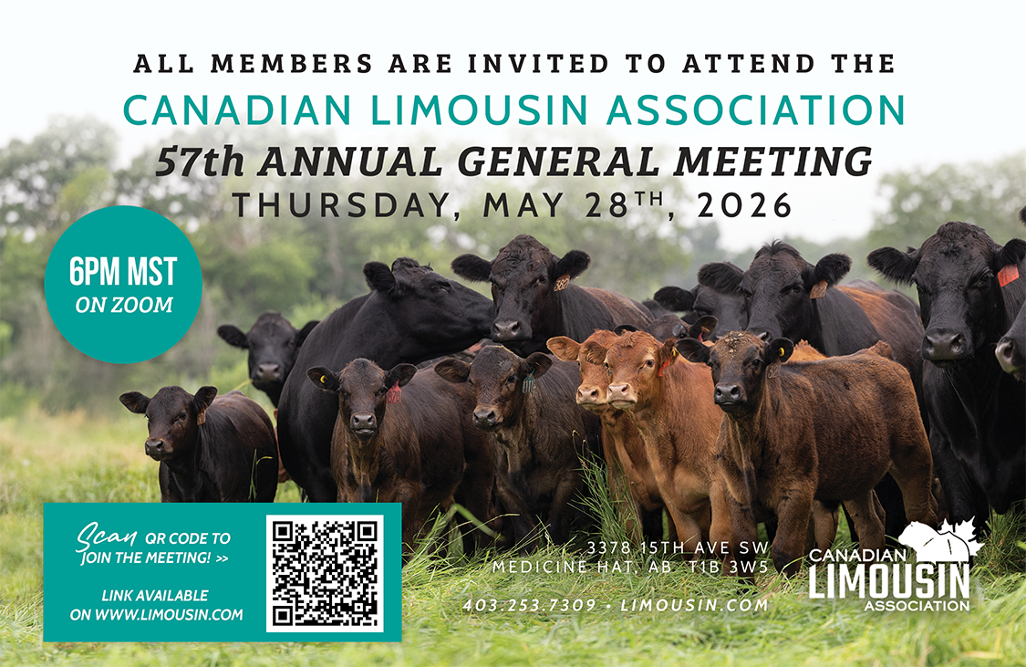 LV-BI26HP_CLAAGM_proof2