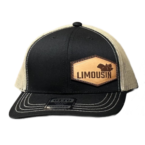 Youth Cap - Black/Khaki