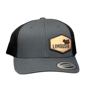 Youth Cap - Grey/Black