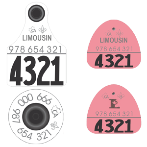 Limousin_groupe2_300px