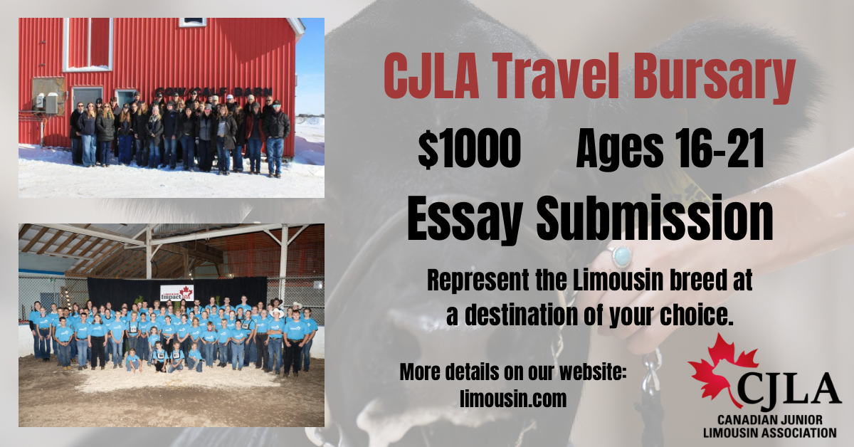 Travel Bursary
