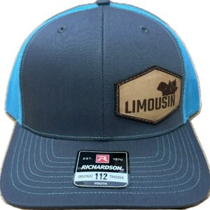 CAP - TEAL/GREY